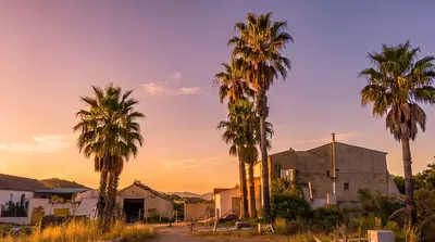 Land in Estepona