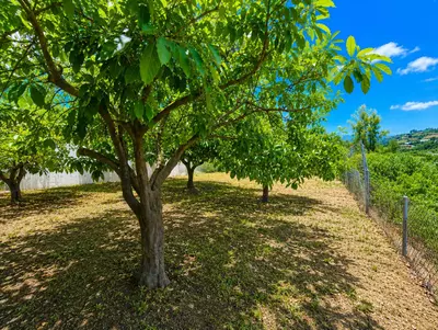 Finca - Cortijo in Estepona
