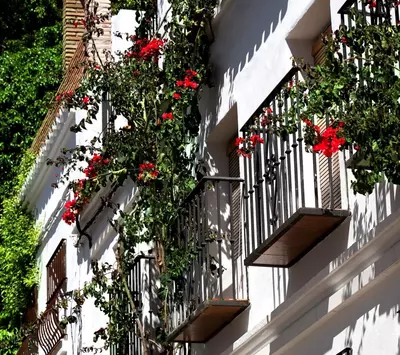 Townhouse in Marbella