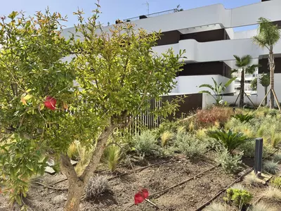 Middle Floor Apartment in Estepona