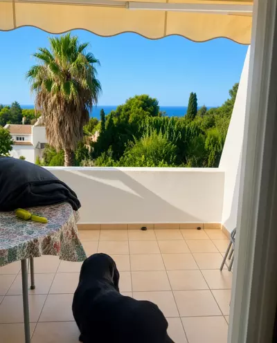Middle Floor Studio in Estepona