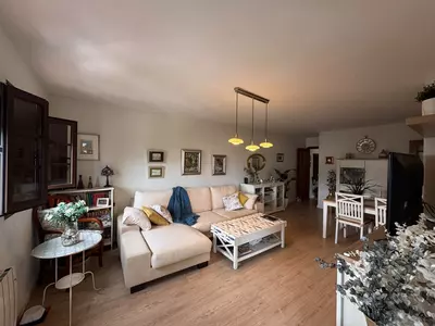 Penthouse in Manilva