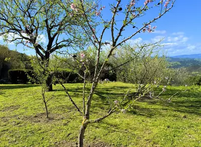 Detached Villa in Casares