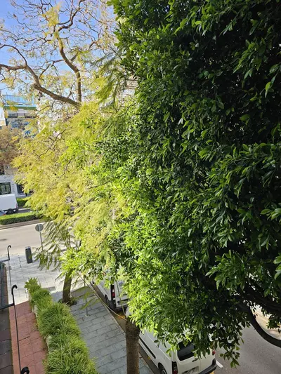 Middle Floor Apartment in Marbella