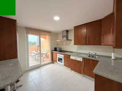 Penthouse Duplex in Elviria