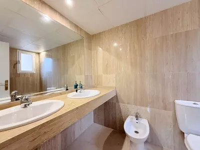 Penthouse Duplex in Elviria