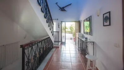 Finca - Cortijo in Estepona