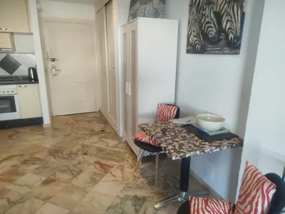 Middle Floor Apartment in Elviria