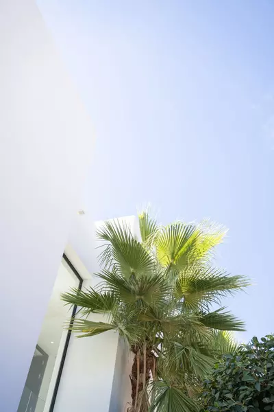 Detached Villa in Marbella