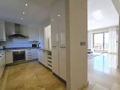 Penthouse in Selwo