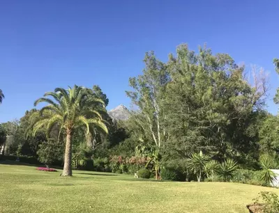 Ground Floor Apartment in Nueva Andalucía
