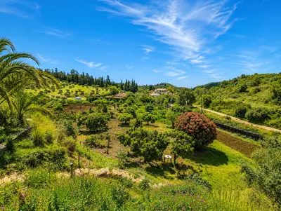 Finca - Cortijo in Estepona