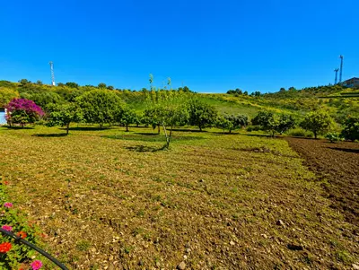 Finca - Cortijo in Estepona
