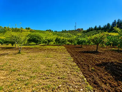 Finca - Cortijo in Estepona