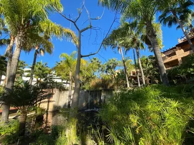 Ground Floor Apartment in Atalaya