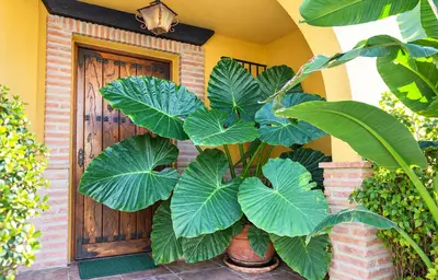 Townhouse in Casares Playa