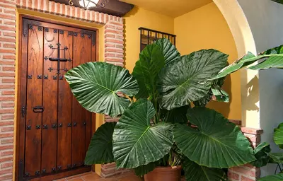 Townhouse in Casares Playa