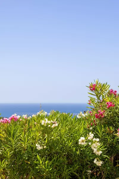 Detached Villa in Elviria