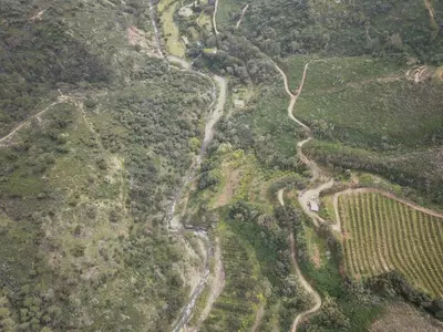 Land in Estepona