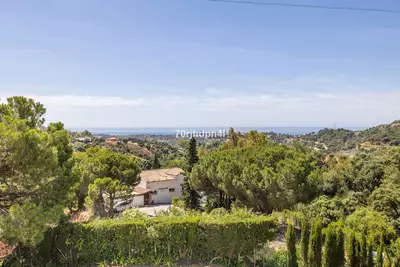 Detached Villa in Estepona