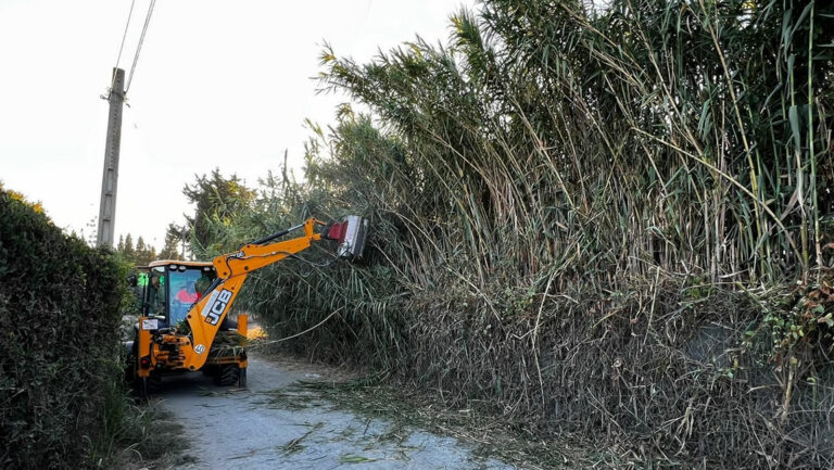 Work: Plants are cut back