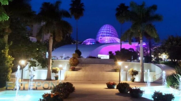 Action: City participates in the “International Day for the Elimination of Violence against Women”