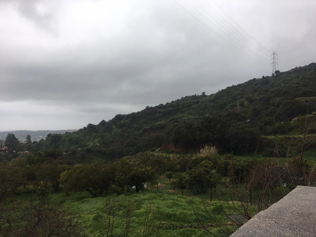 8-e64a9055bba3e77ac8aca3b893cdf826