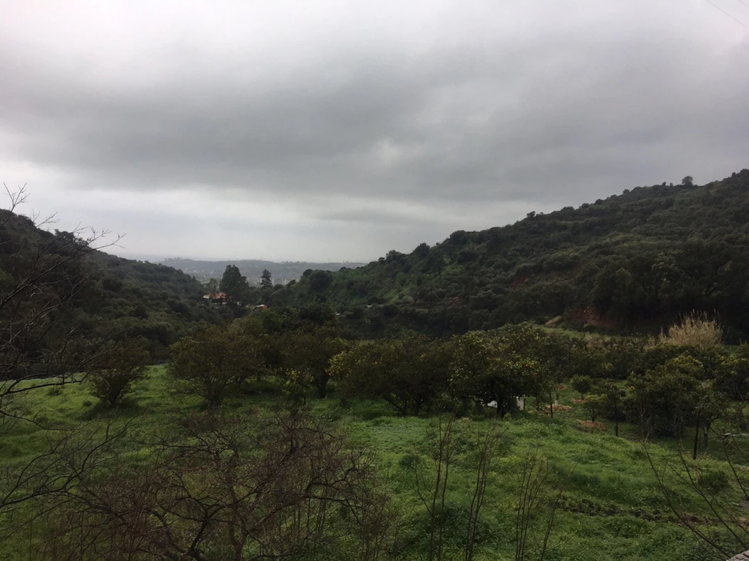 2-5bd7b9d04b45e33852eaf0ec6670150d