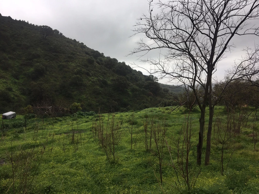 3-e898b2bb2a2fdfd06d2c39894dce8316