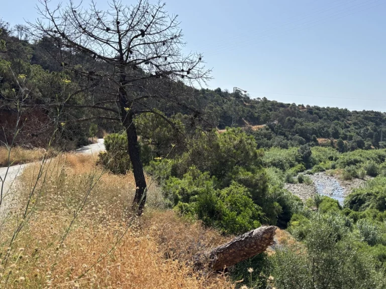 1-7980e48d732b6fc85c14b43b94d2aa54