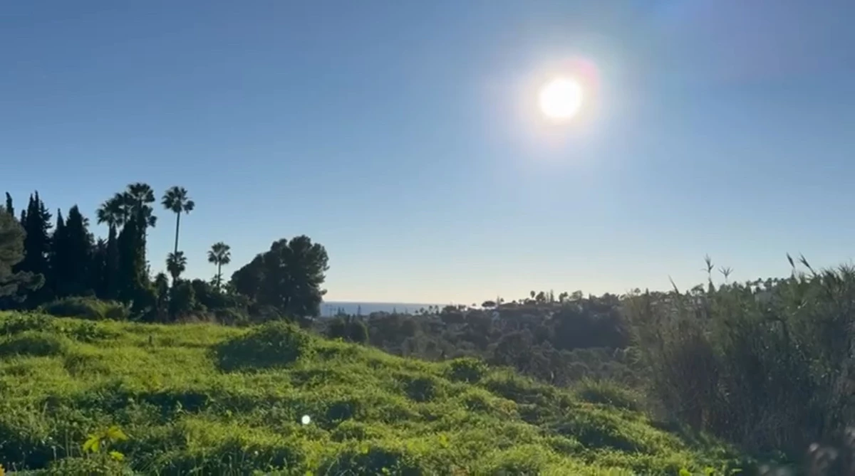 5-3595ad71cbd87be6c3643a4285ef4791