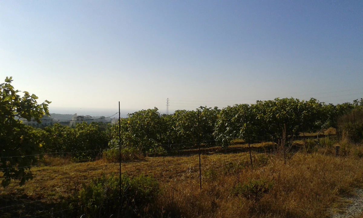 2-5bd7b9d04b45e33852eaf0ec6670150d