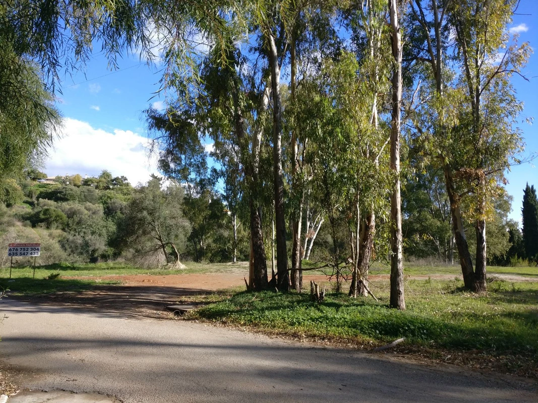 5-3595ad71cbd87be6c3643a4285ef4791