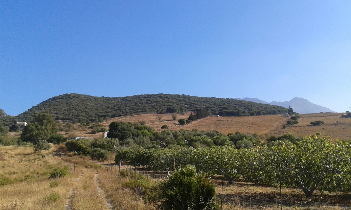 3-e898b2bb2a2fdfd06d2c39894dce8316