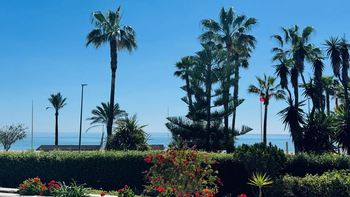 6-241328e1bcc9c0d8ce1222beb6c967a8