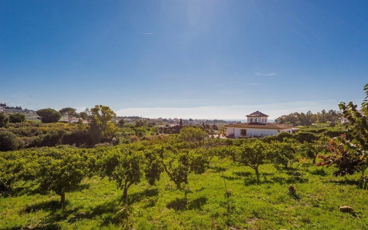 8-e64a9055bba3e77ac8aca3b893cdf826