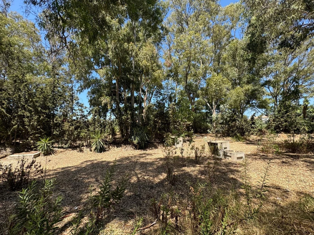 5-3595ad71cbd87be6c3643a4285ef4791