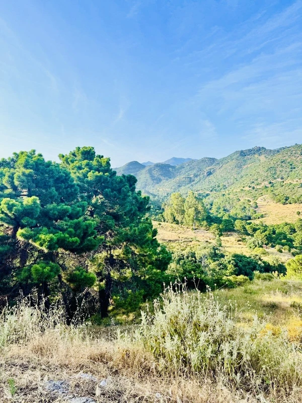 5-3595ad71cbd87be6c3643a4285ef4791