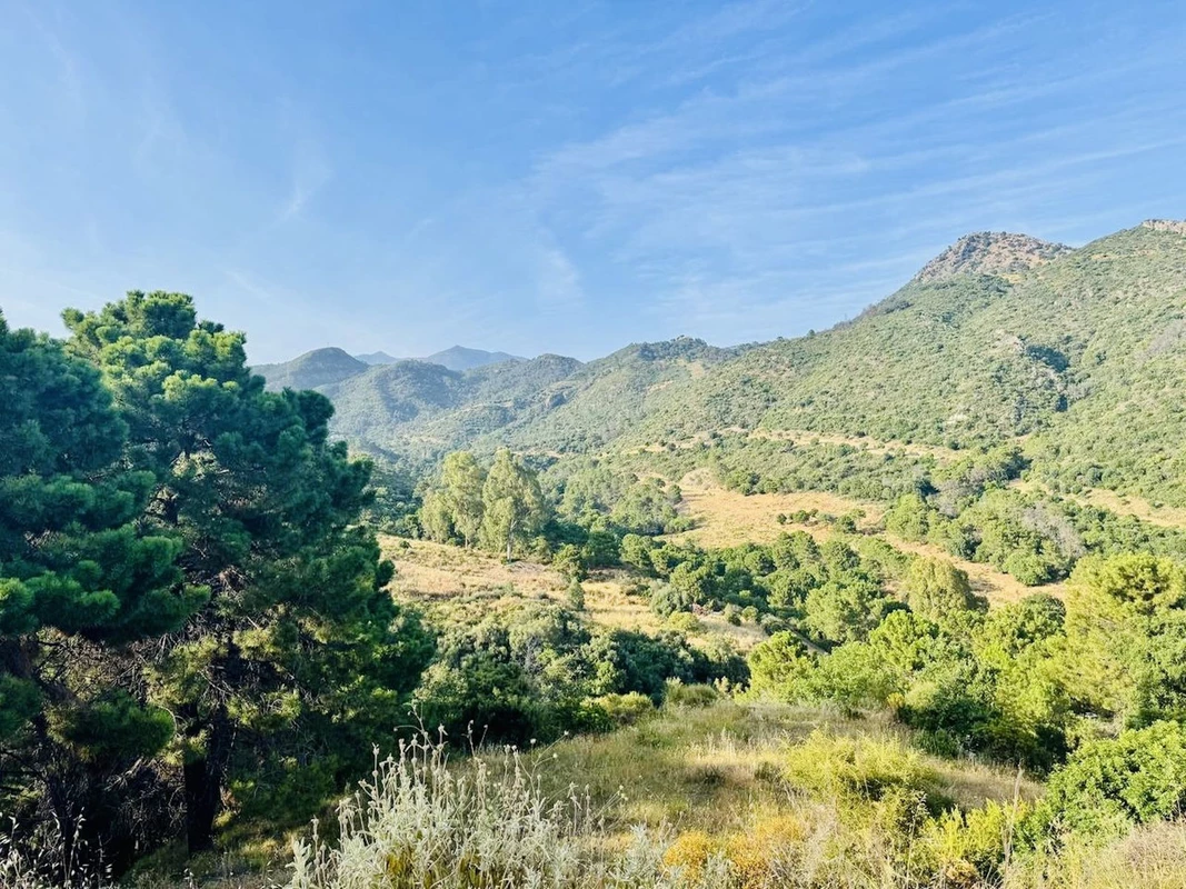 4-c23c0f86247804fa50226aecd8b0b2c8