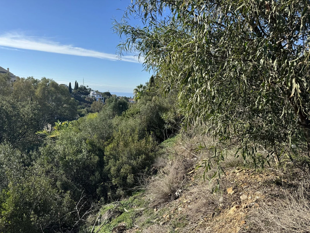 8-e64a9055bba3e77ac8aca3b893cdf826