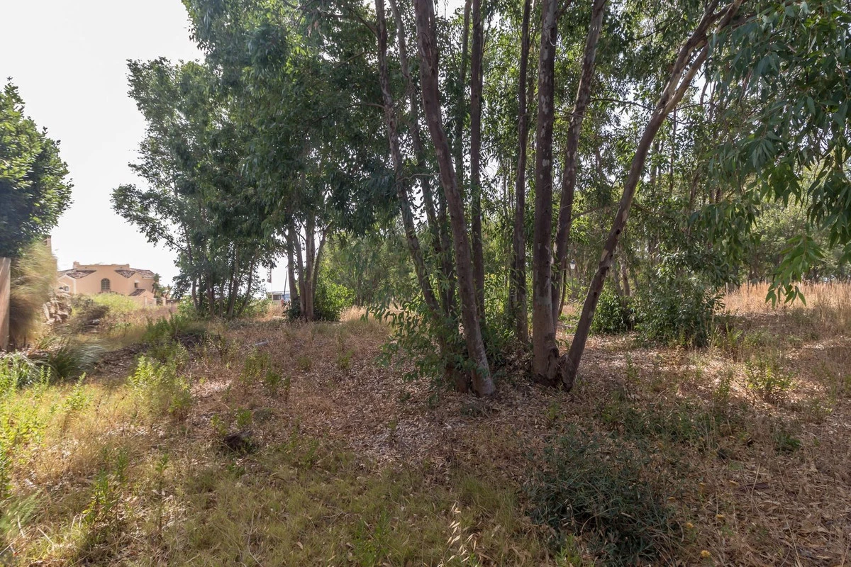 7-aa4cc561180b369757c0bb4af9886cd3