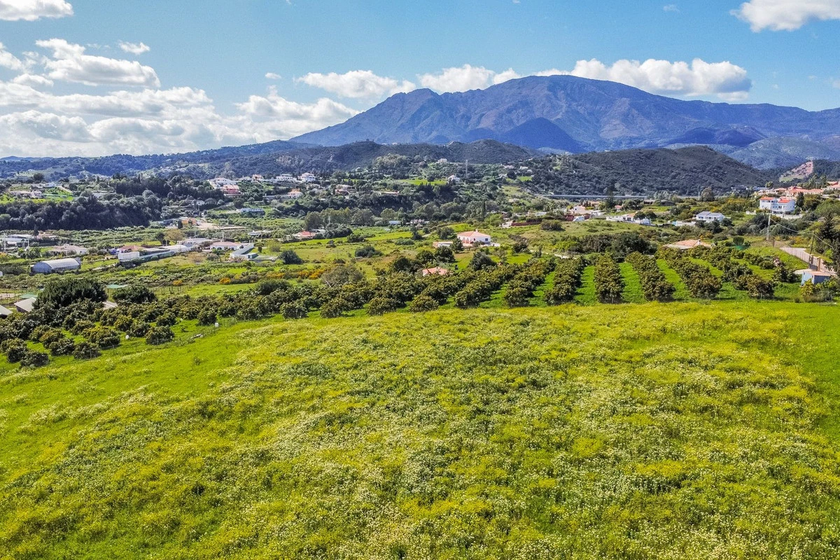 4-c23c0f86247804fa50226aecd8b0b2c8