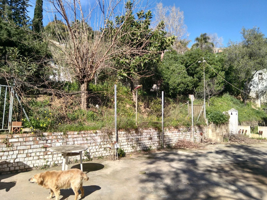 8-e64a9055bba3e77ac8aca3b893cdf826