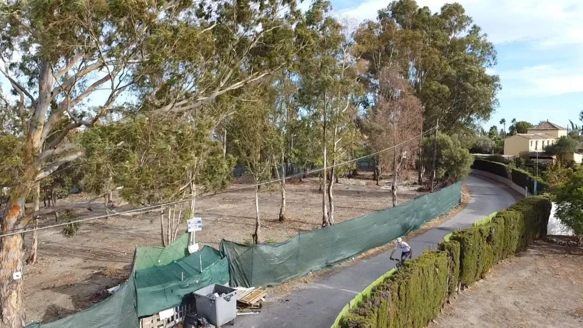 2-5bd7b9d04b45e33852eaf0ec6670150d