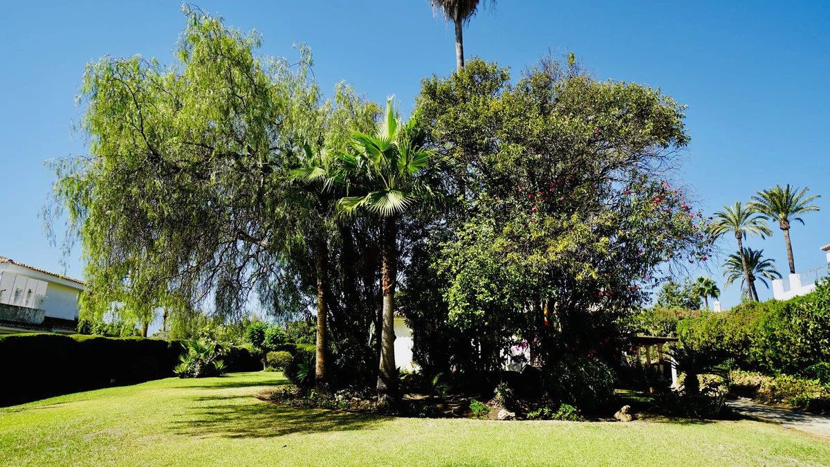 4-c23c0f86247804fa50226aecd8b0b2c8