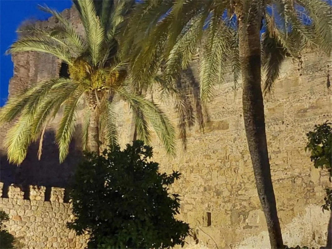 4-c23c0f86247804fa50226aecd8b0b2c8