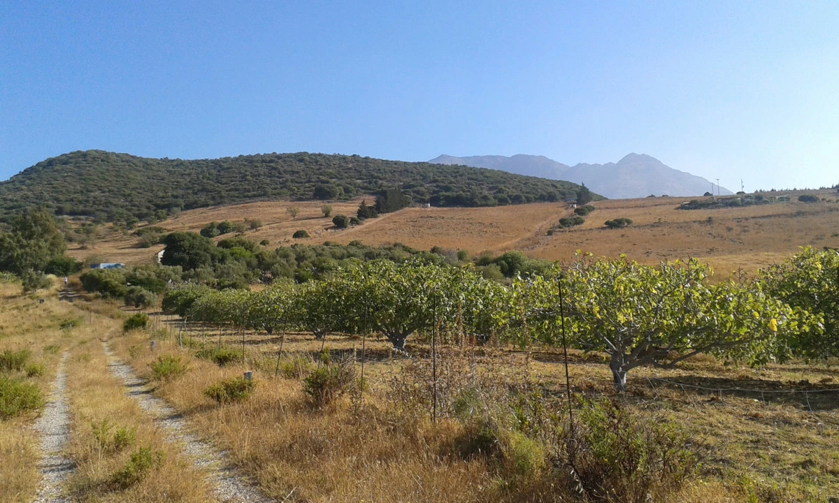 4-c23c0f86247804fa50226aecd8b0b2c8