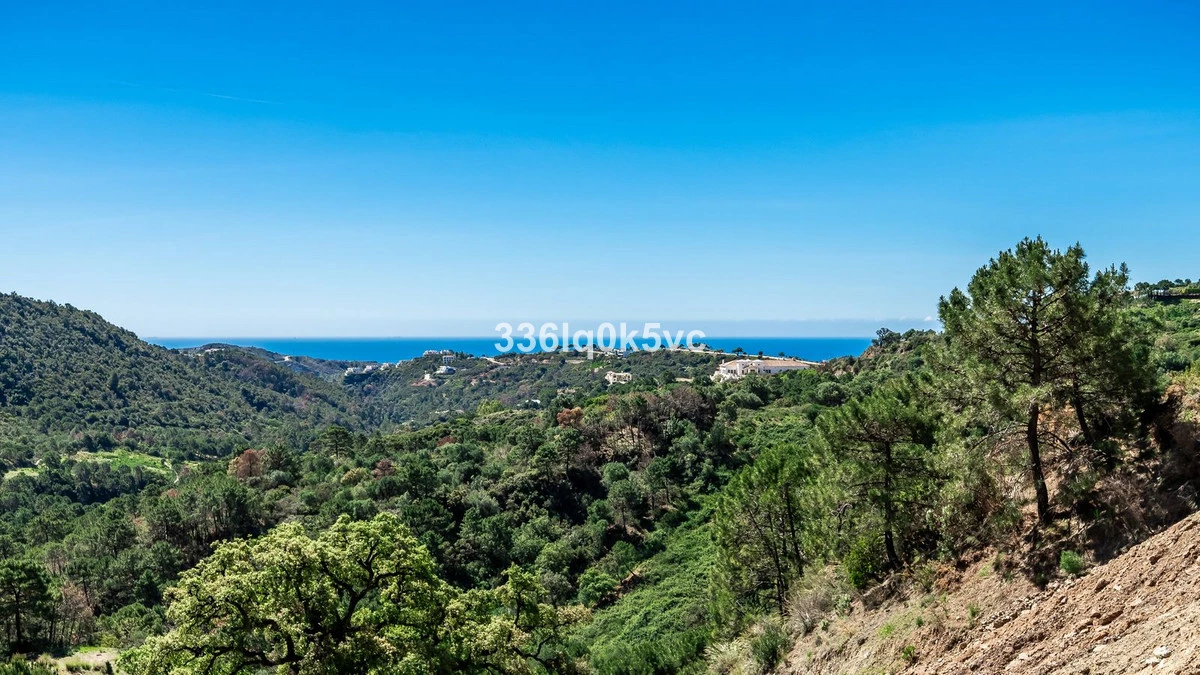 4-c23c0f86247804fa50226aecd8b0b2c8