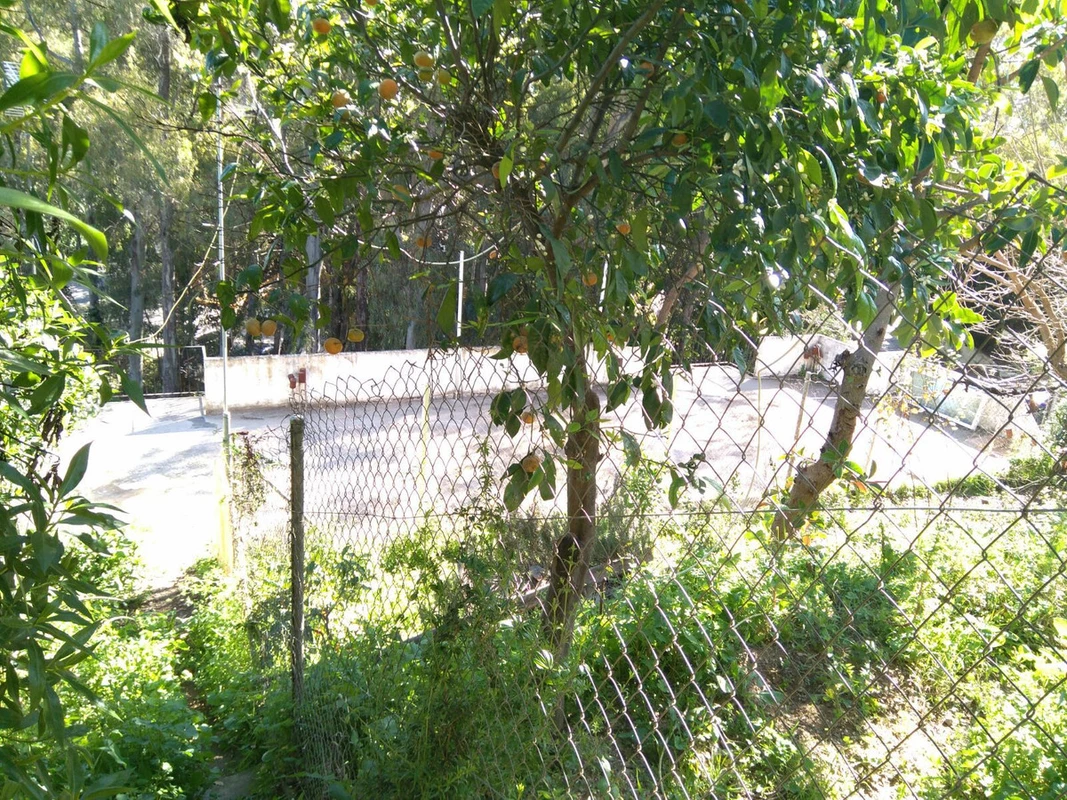 7-aa4cc561180b369757c0bb4af9886cd3