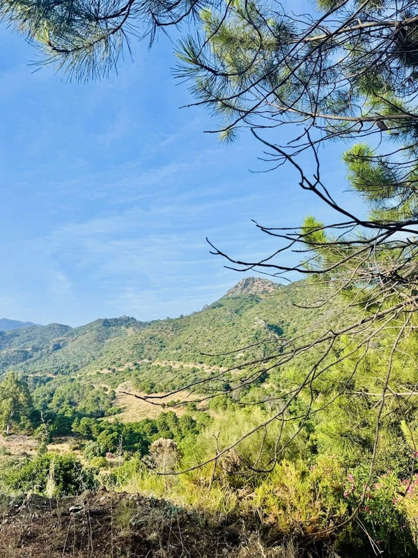 3-e898b2bb2a2fdfd06d2c39894dce8316